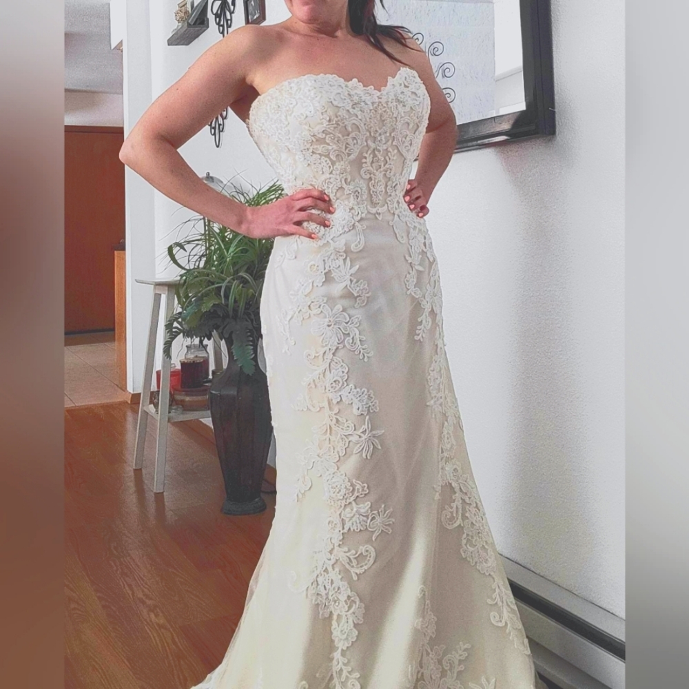 Casablanca Bridal gown size 10 Ivory